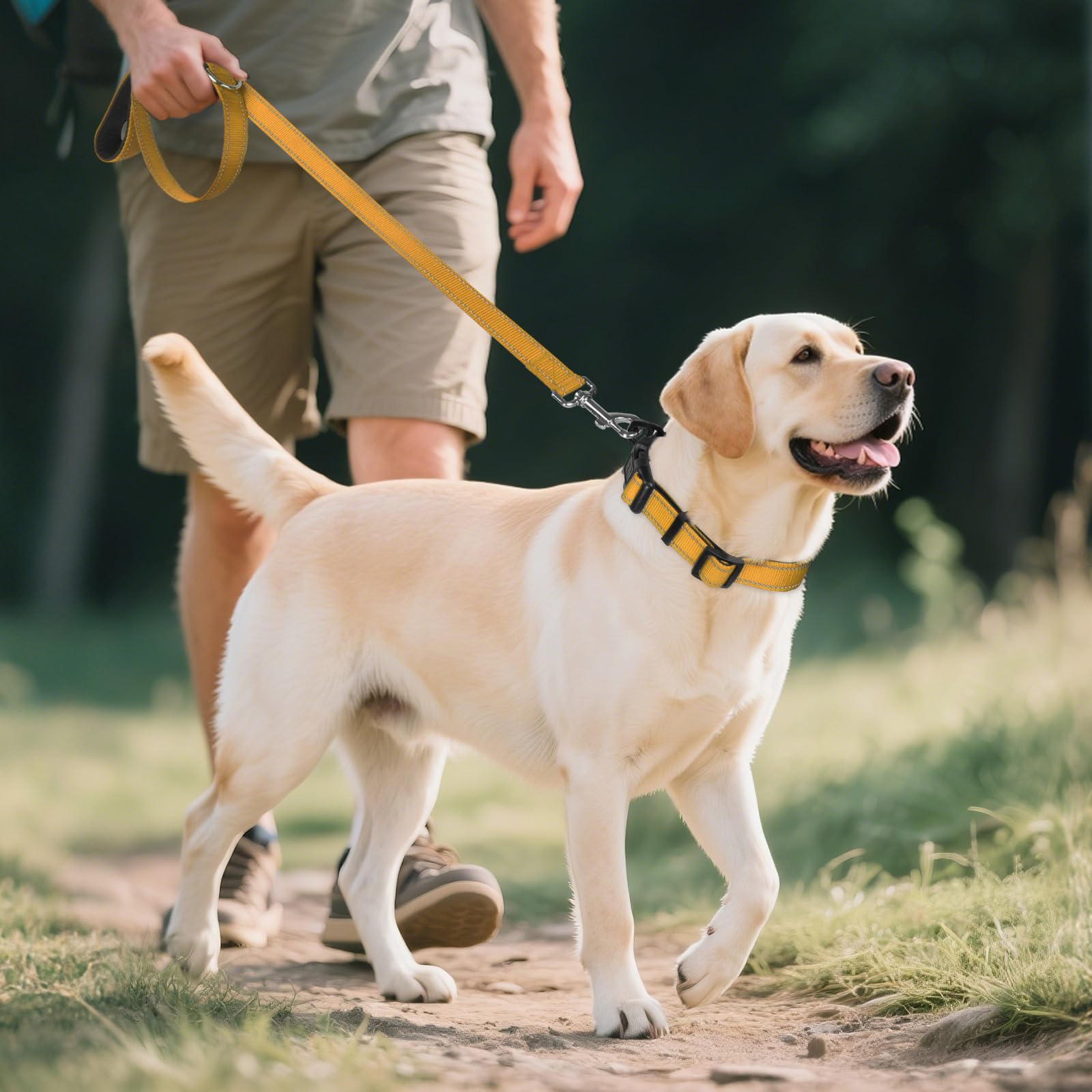 Joytale Reflective Dog Collar ideal for large dogs during hiking and swimming adventures