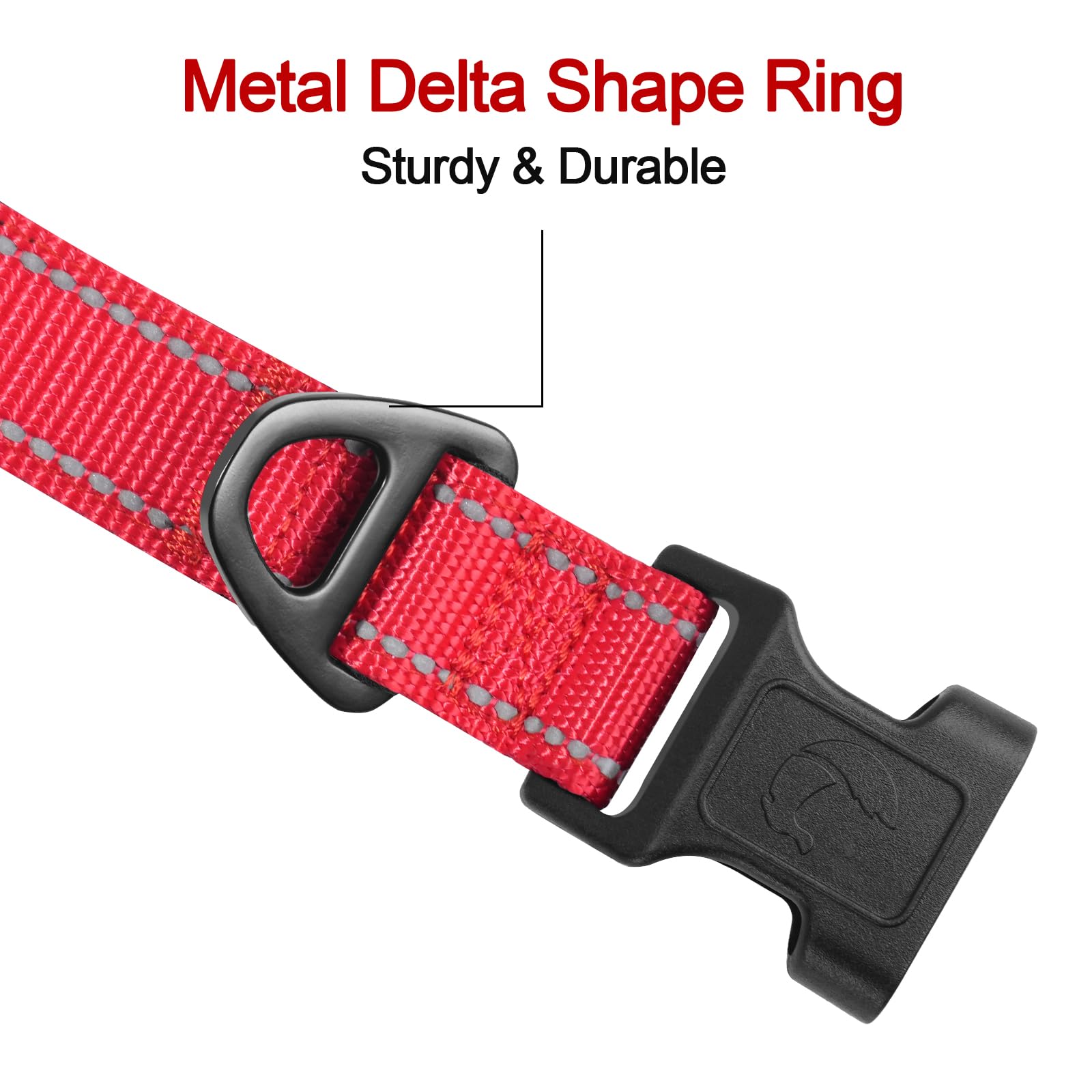 Joytale red collar with rust-resistant D-ring during outdoor use