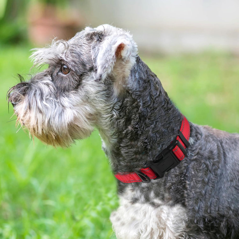 Joytale Reflective Dog Collar at night demonstrating bright visibility stitching.