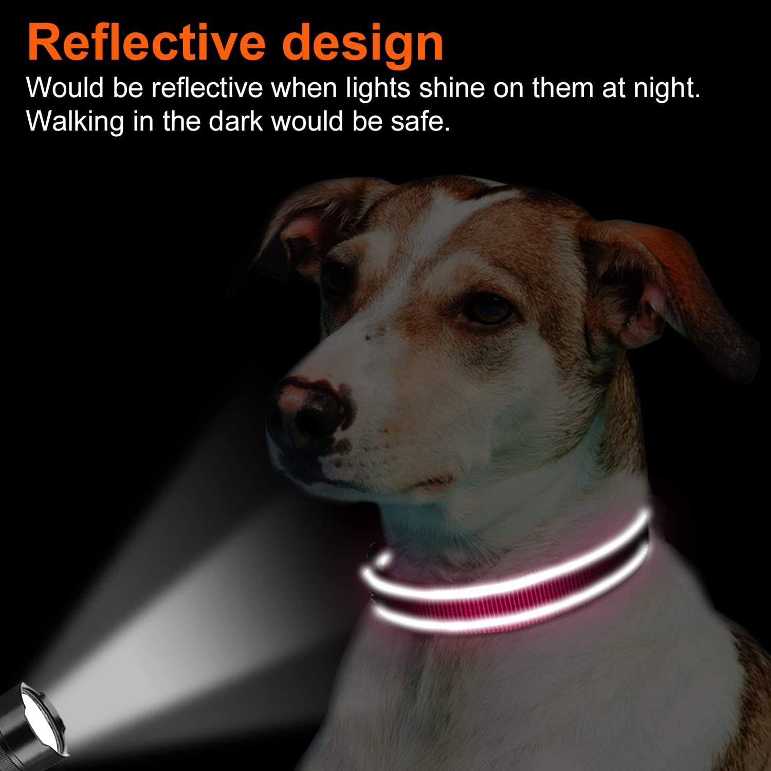 Joytale reflective dog collar night visibility for safer twilight walks.
