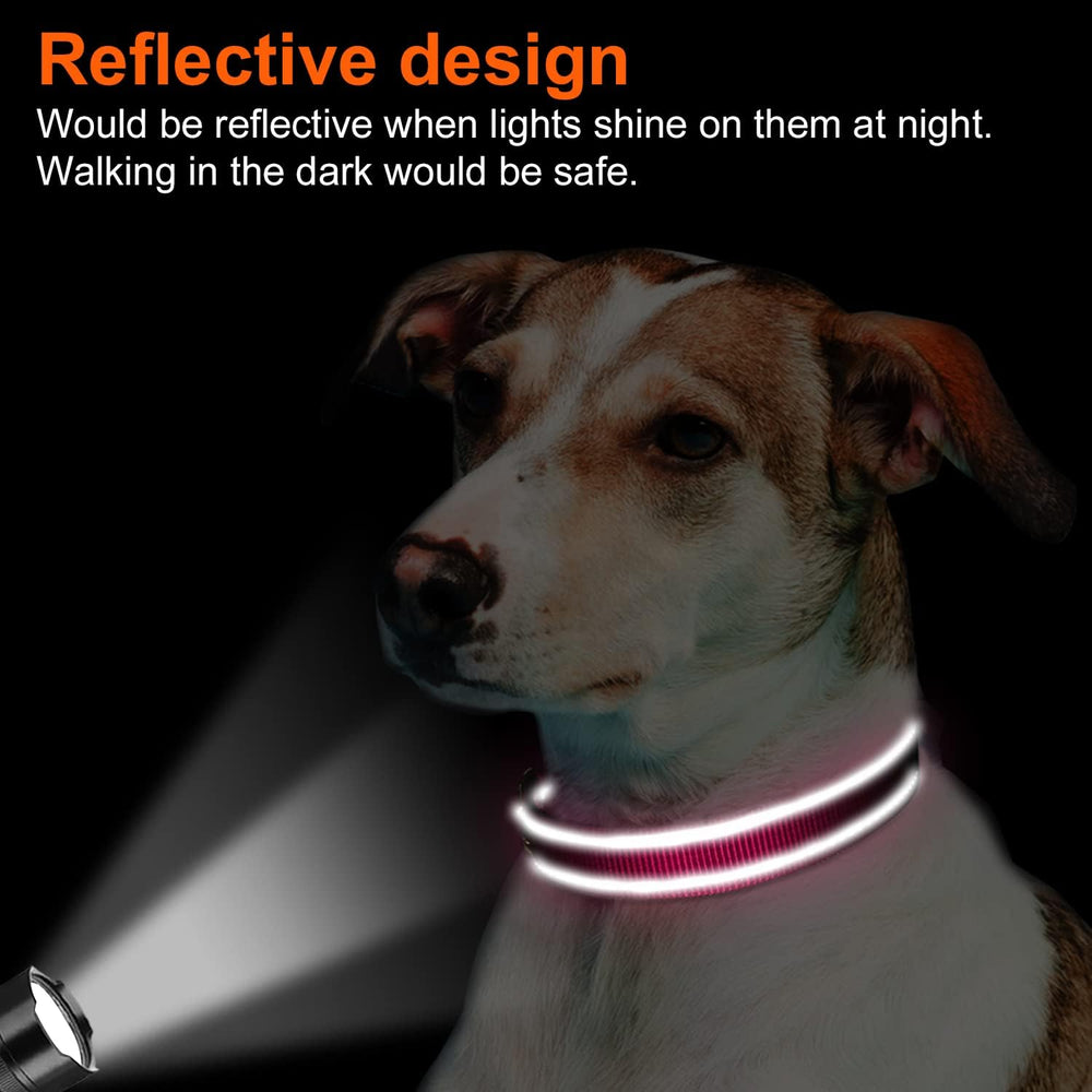 Joytale reflective dog collar night visibility for safer twilight walks.