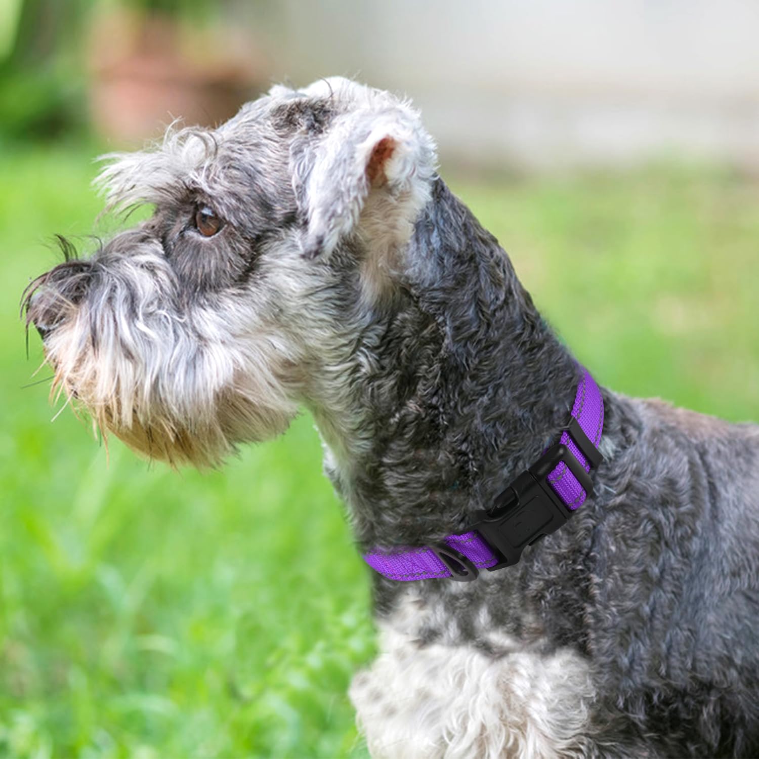 Joytale Reflective Dog Collar night-visibility shot emphasizes high-visibility stitching for safer night walks