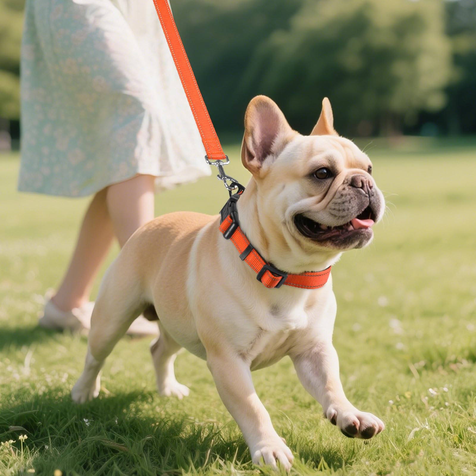 Joytale Reflective Dog Collar orange M night visibility for safer evening strolls
