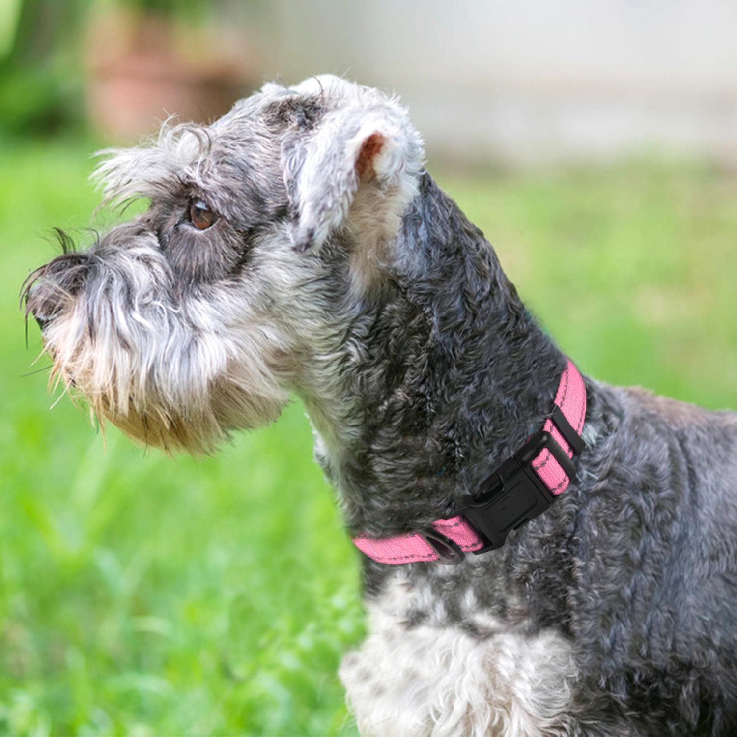 Joytale reflective dog collar pink large padding offers comfortable neoprene contact on long walks.