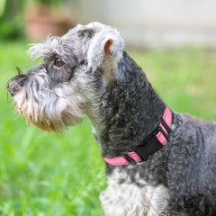 Joytale reflective dog collar pink large padding offers comfortable neoprene contact on long walks.