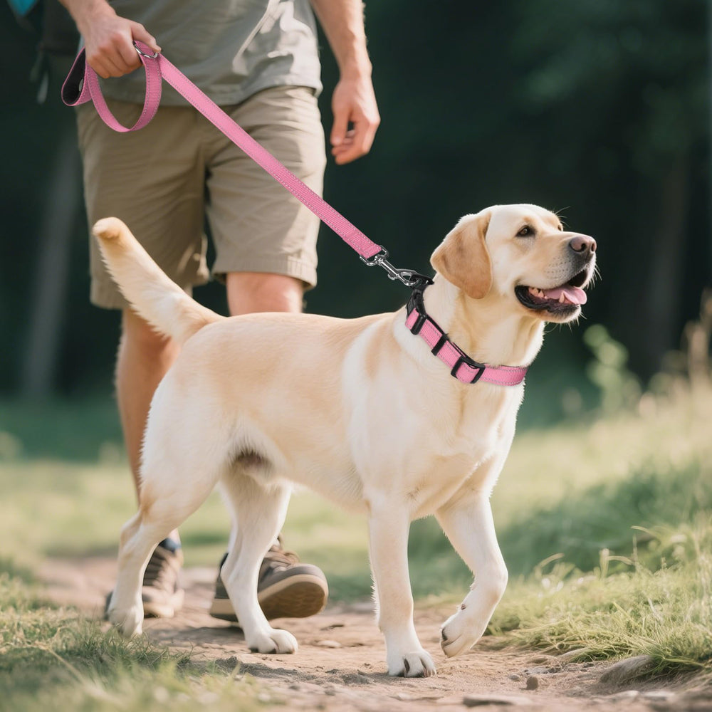 Joytale reflective dog collar pink large quick release buckle enables easy on and off.