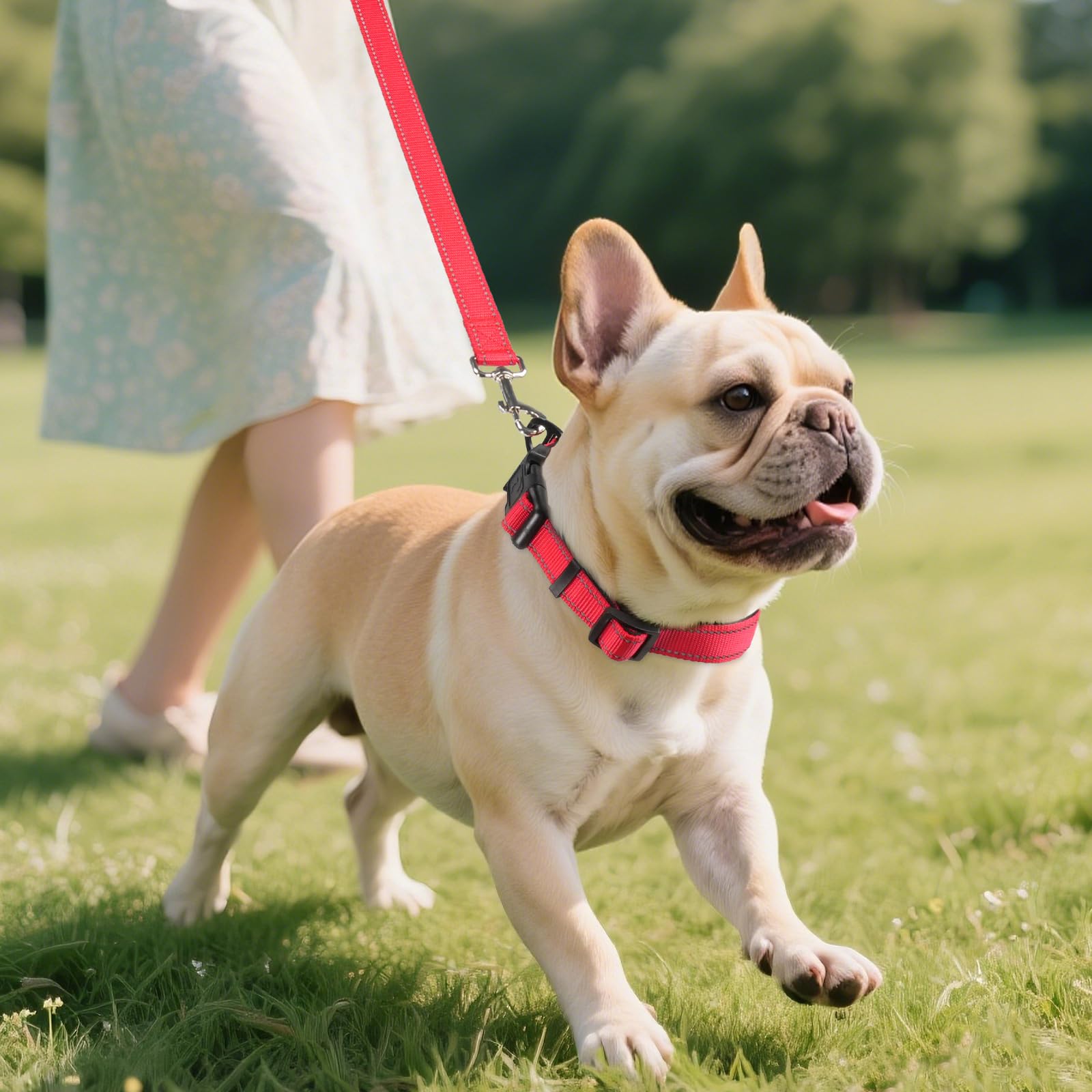 Joytale Reflective Dog Collar featuring quick-release buckle for easy on-off.