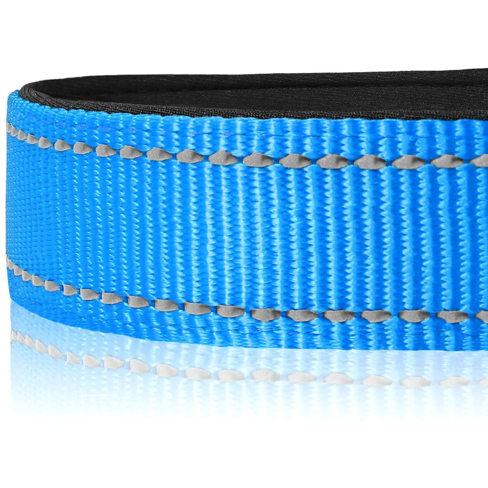 Joytale Reflective Threads glow at night to improve visibility during walks.