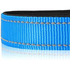 Joytale Reflective Threads glow at night to improve visibility during walks.