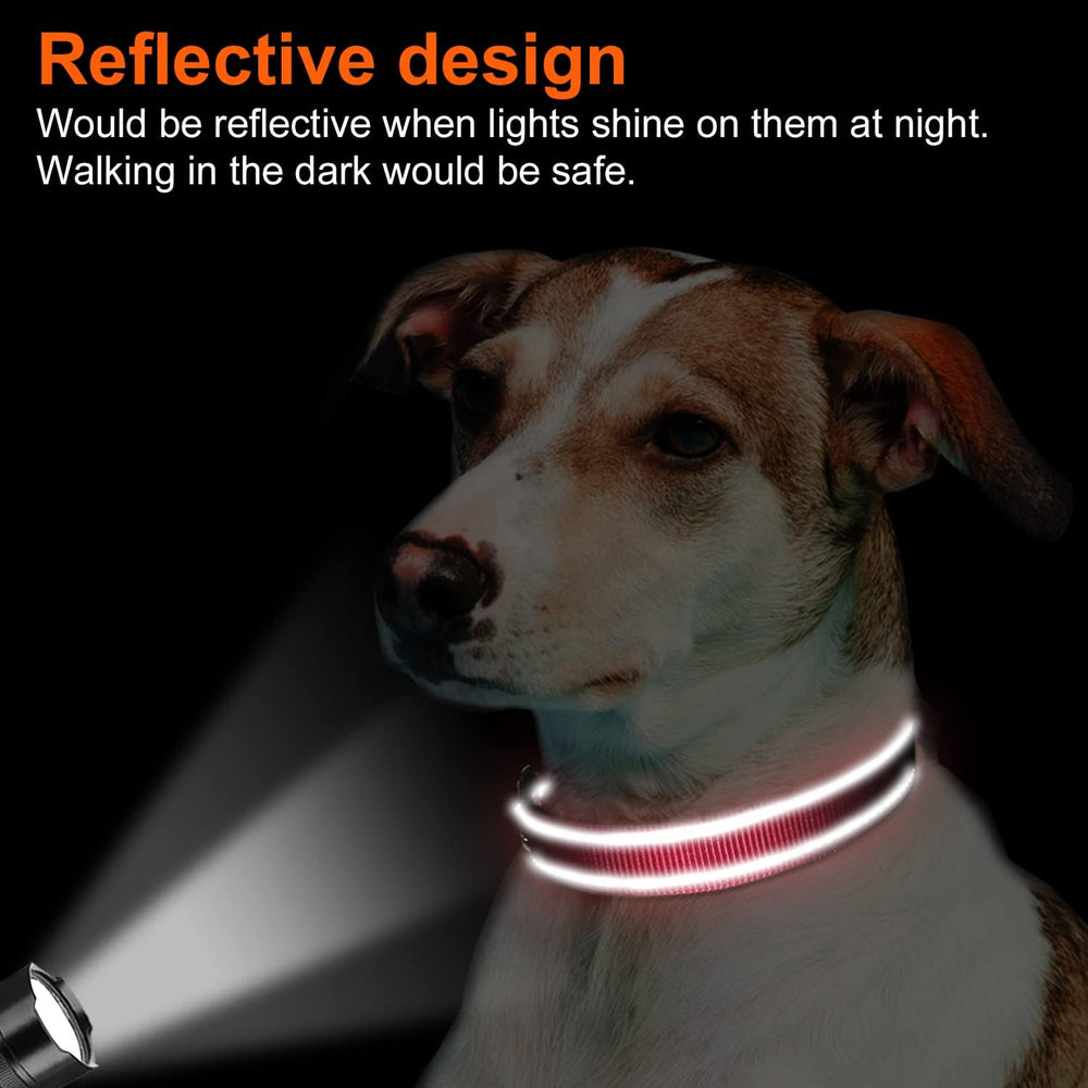 Joytale Reflective Dog Collar with rust-resistant D-ring for outdoor durability.
