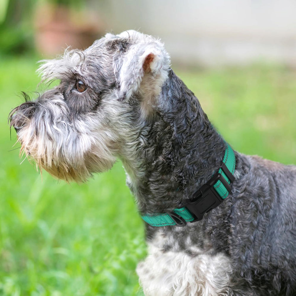 Joytale Reflective Dog Collar teal side view shows adjustable fit.