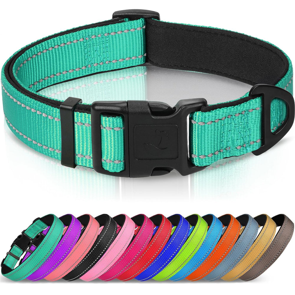 Joytale reflective dog collar teal xl close-up showing padded nylon comfort
