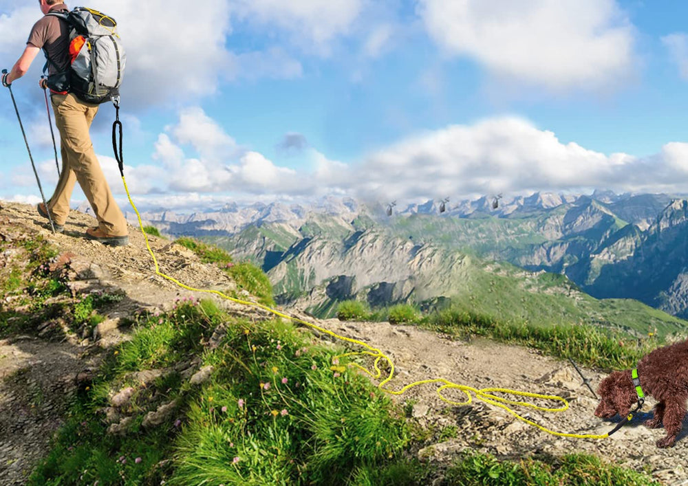 Joytale reflective-stitching-night-visibility increases safety during low-light walks.