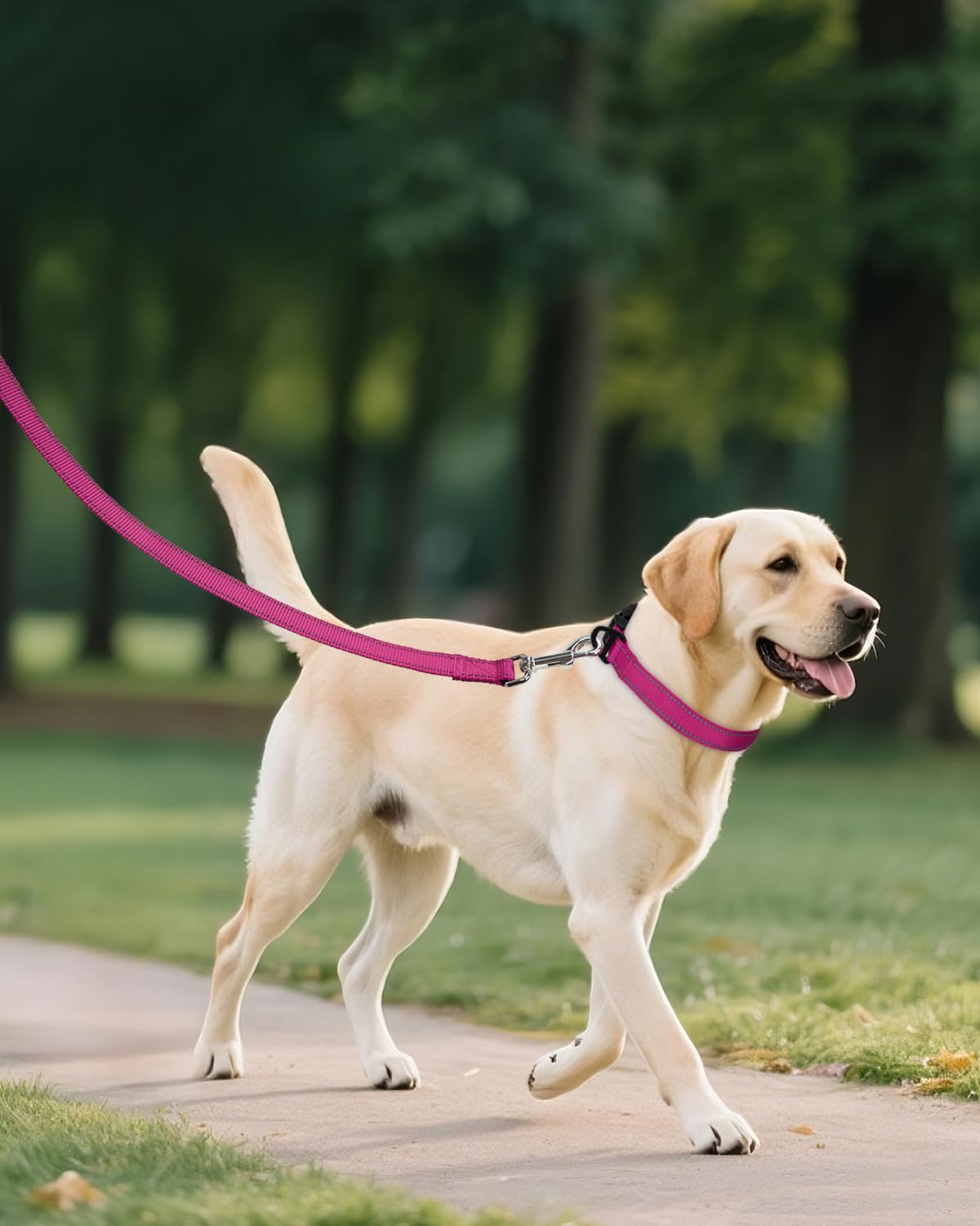 Joytale reflective stitching improves visibility during night walks
