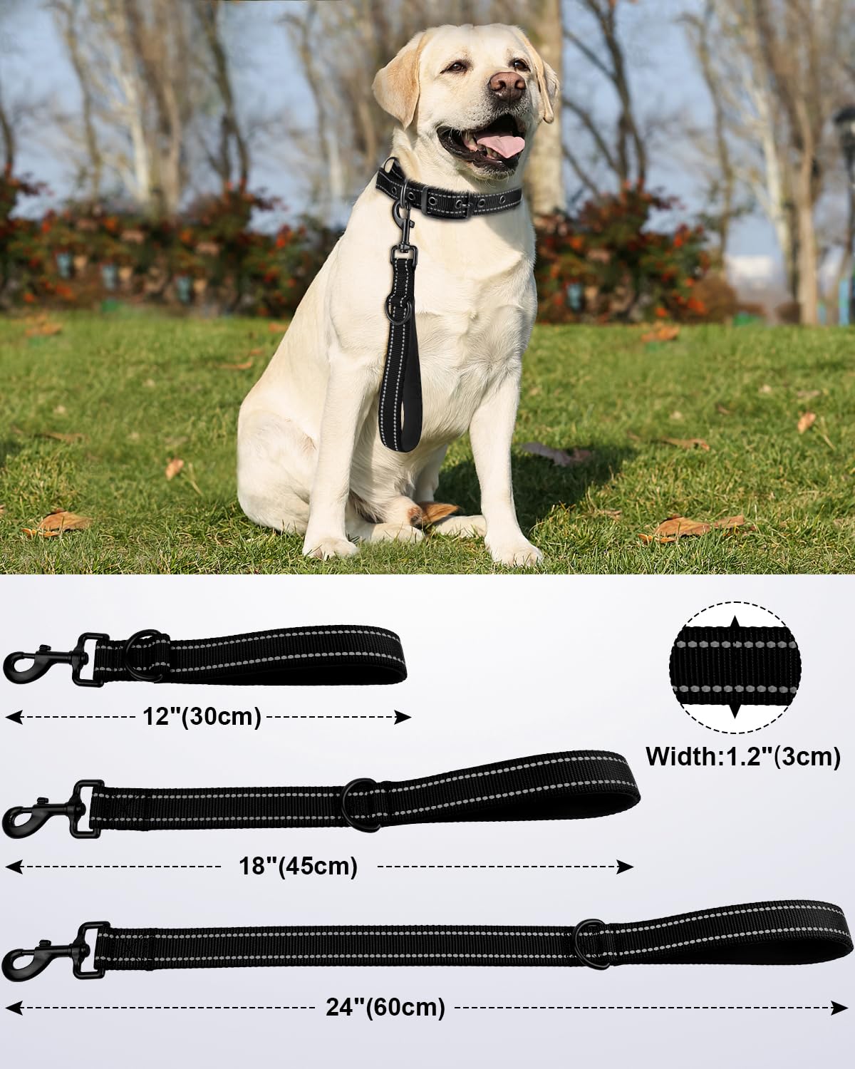 Joytale short leash with heavy-duty clip prevents twisting during lively walks.
