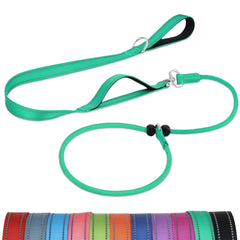 Joytale slip lead with double padded handles in turquoise for comfortable control during walks.