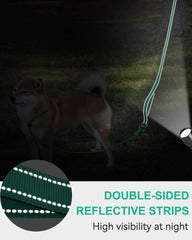 Joytale slip lead easy-on design slides over the dog’s head for quick setup.