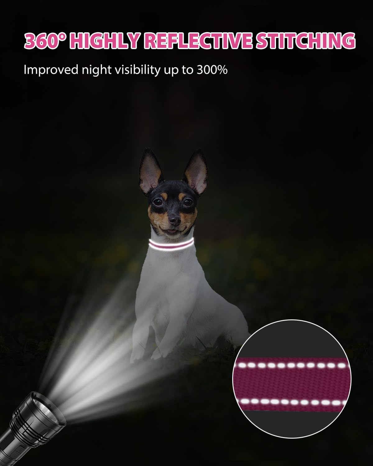 Joytale adjustable size suits puppies to larger dogs for secure fit.
