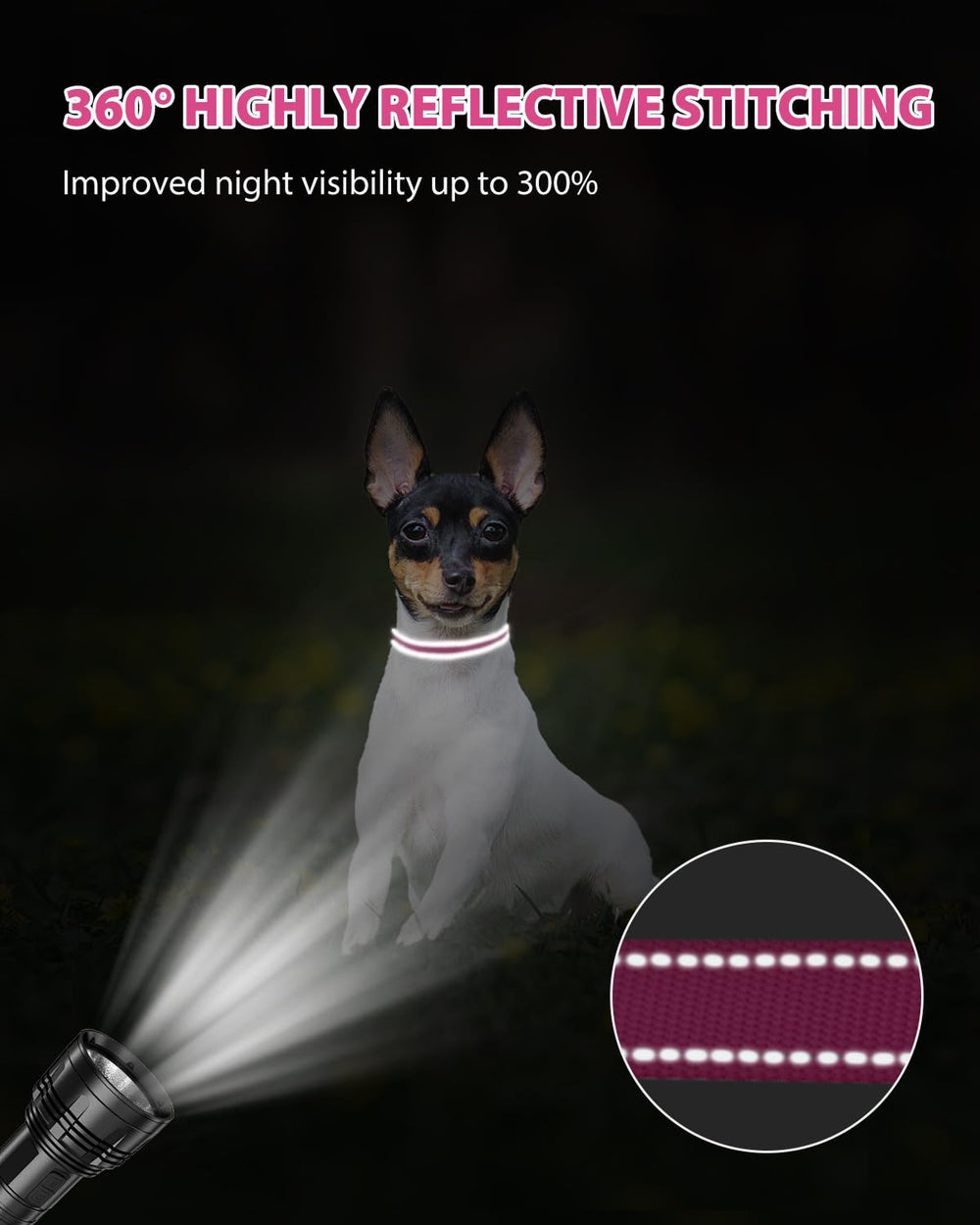 Joytale adjustable size suits puppies to larger dogs for secure fit.