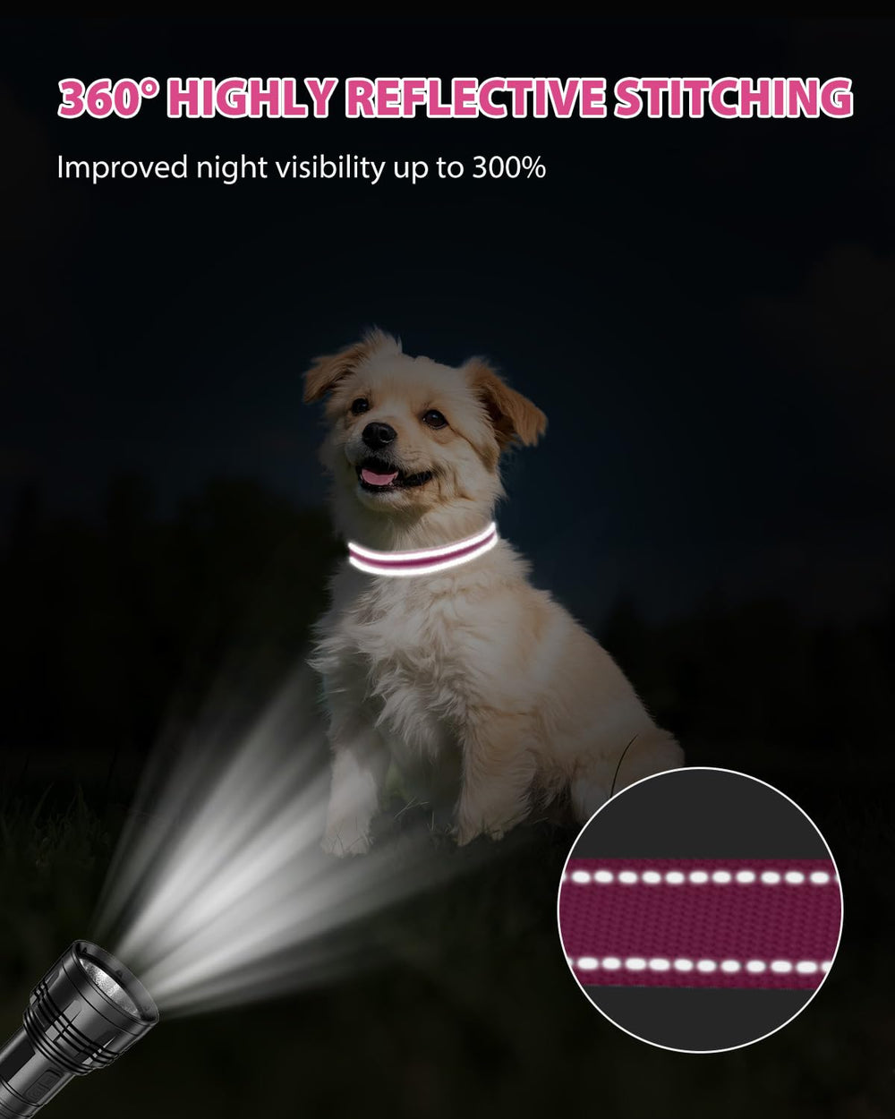 Joytale small dog collar displaying adjustable sizes from XS to XL for a secure fit.