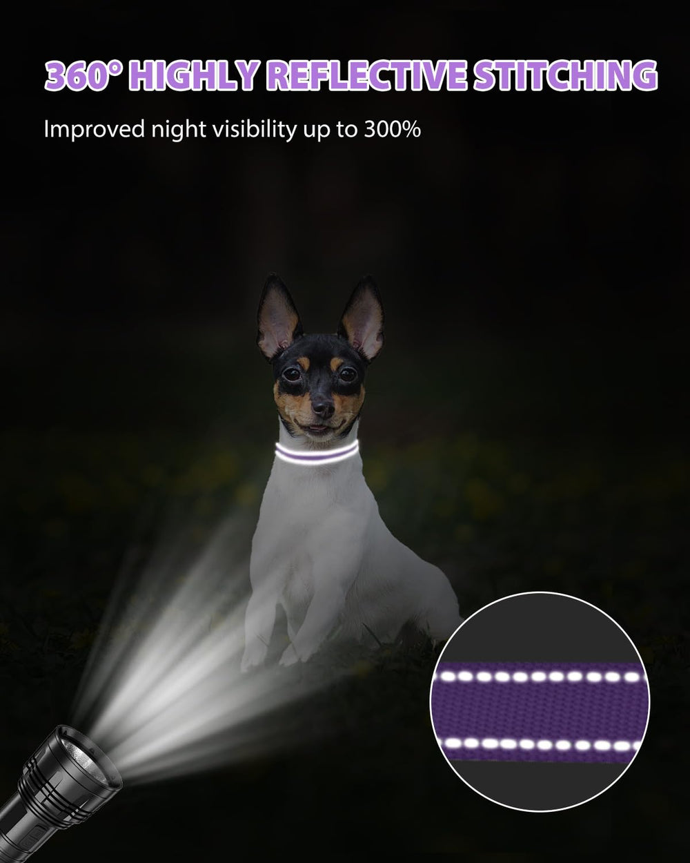 Joytale small dog collar adjustable sizes show versatile fit options