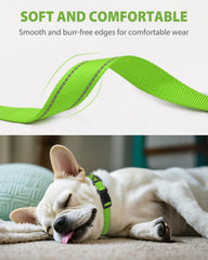 Joytale collar with delta ring shows durable leash attachment and ID tag security