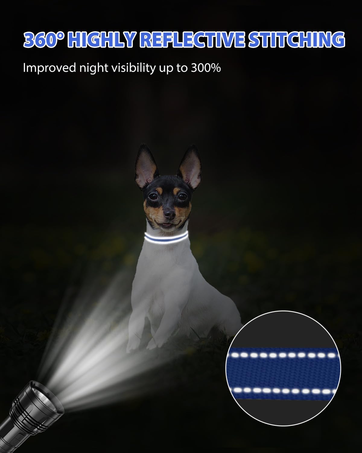 Joytale small dog collar navy shows durable hardware and weatherproof finish.