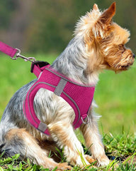 Joytale harness hot pink with reflective strips for evening safety.