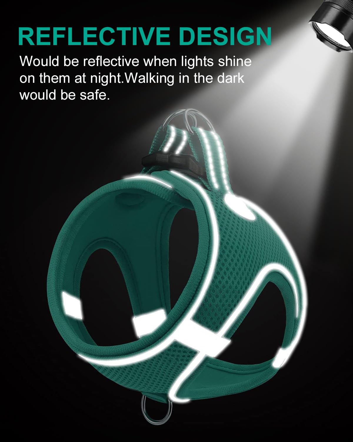Joytale step-in design harness enables easy on-off for quick outings.