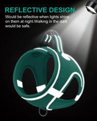 Joytale step-in design harness enables easy on-off for quick outings.