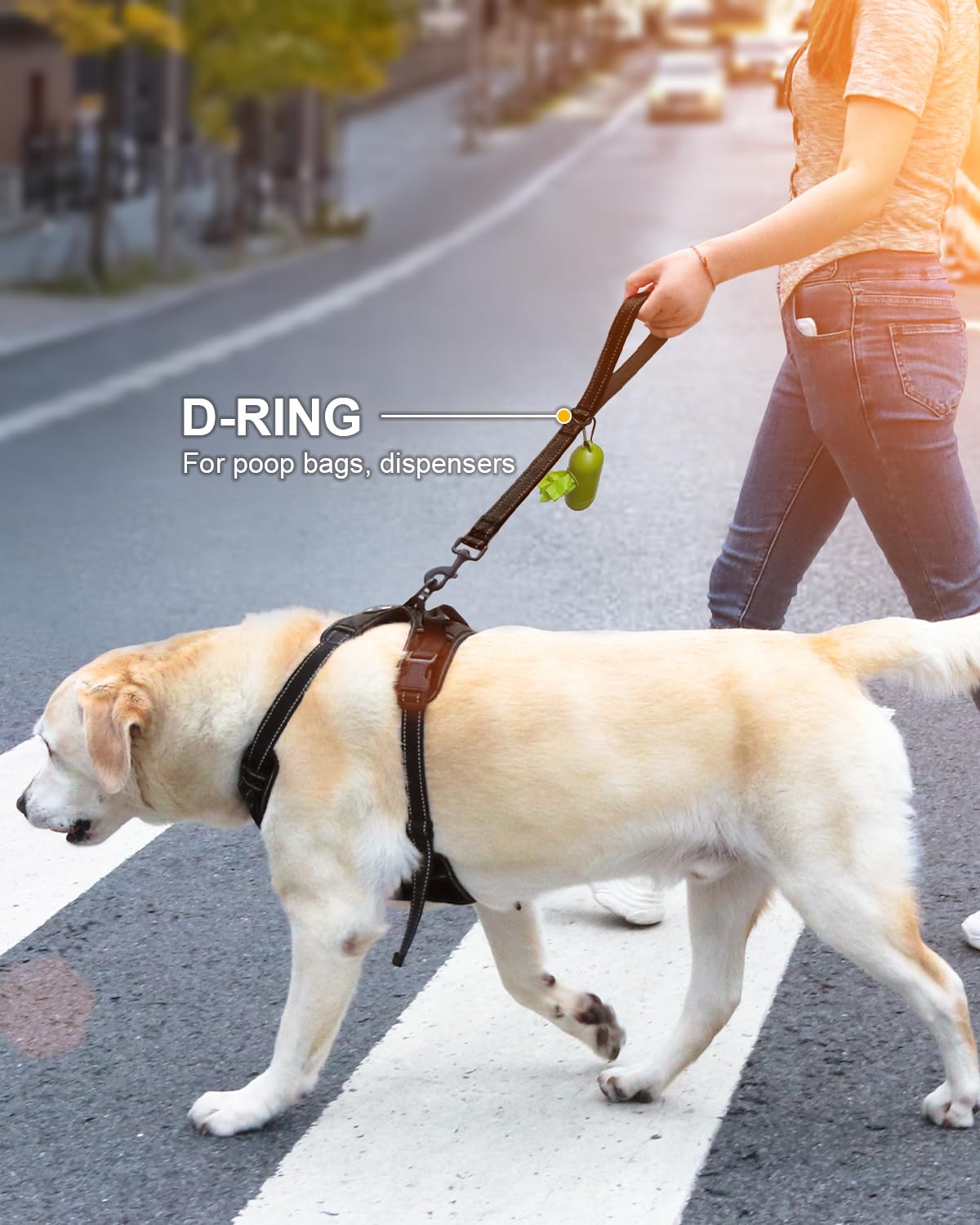 Joytale Strong Short Dog Leash padded handle reduces leash burn during training and crowd navigation.