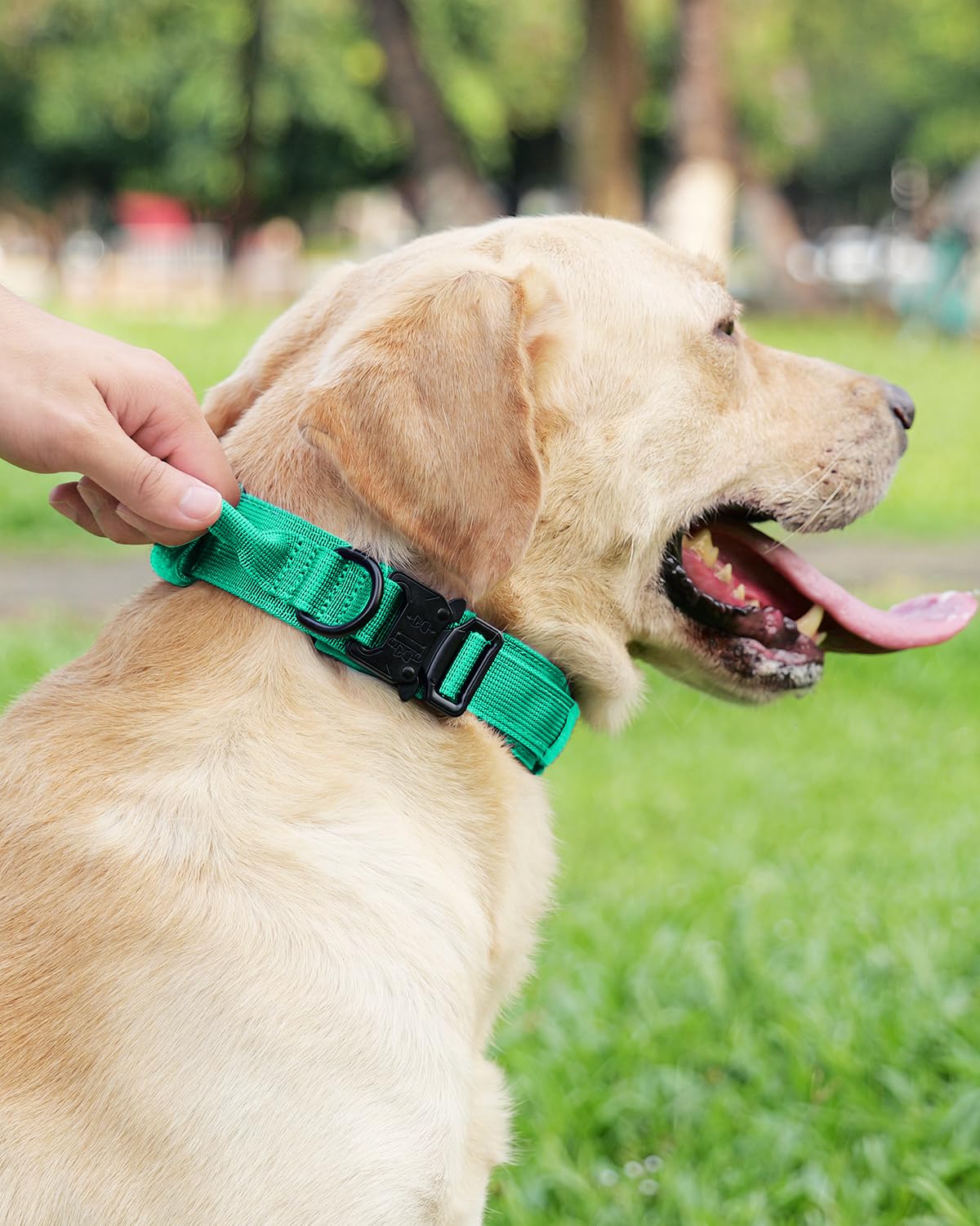 Joytale Tactical Collar designed for large dogs with secure sizing and comfortable fit.