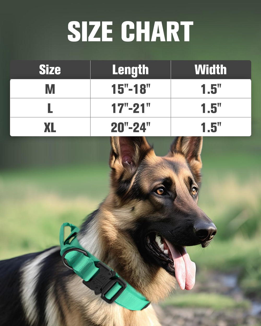 Joytale Tactical Collar quick-release buckle enables easy on/off during activities.