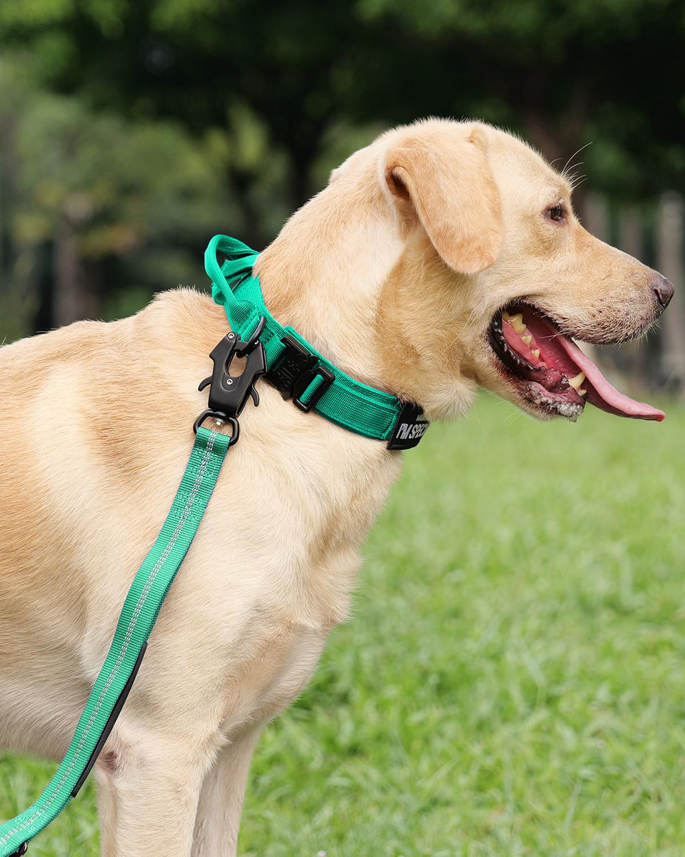 Joytale Tactical Collar includes two patches for customization and training style.