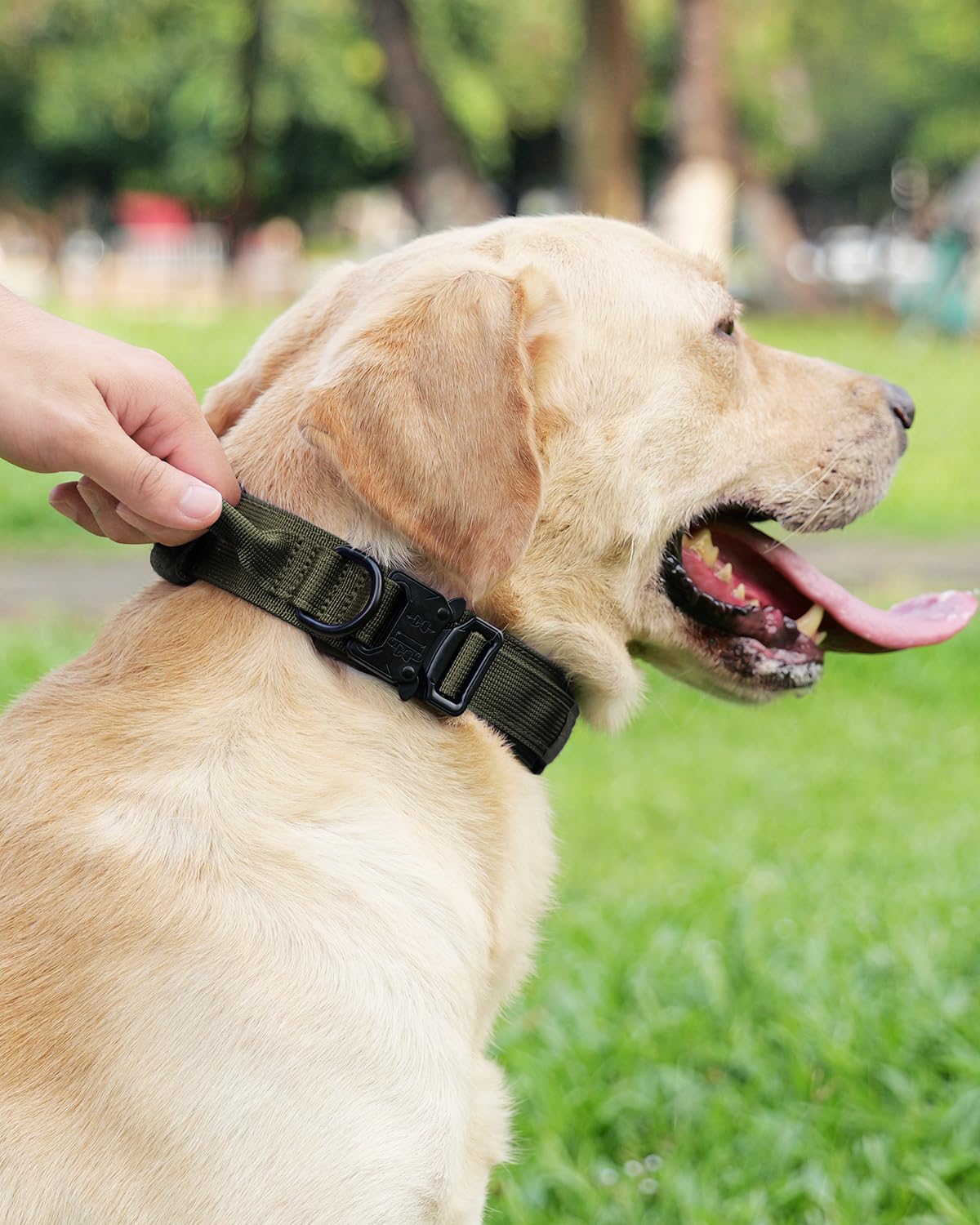 Joytale adjustable-length collar tailored for various large dogs with secure quick-release buckle.
