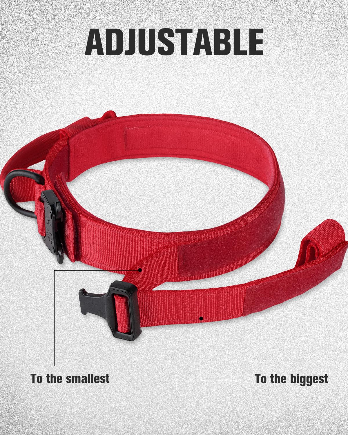 Joytale quick-release buckle provides easy on/off for XL dogs