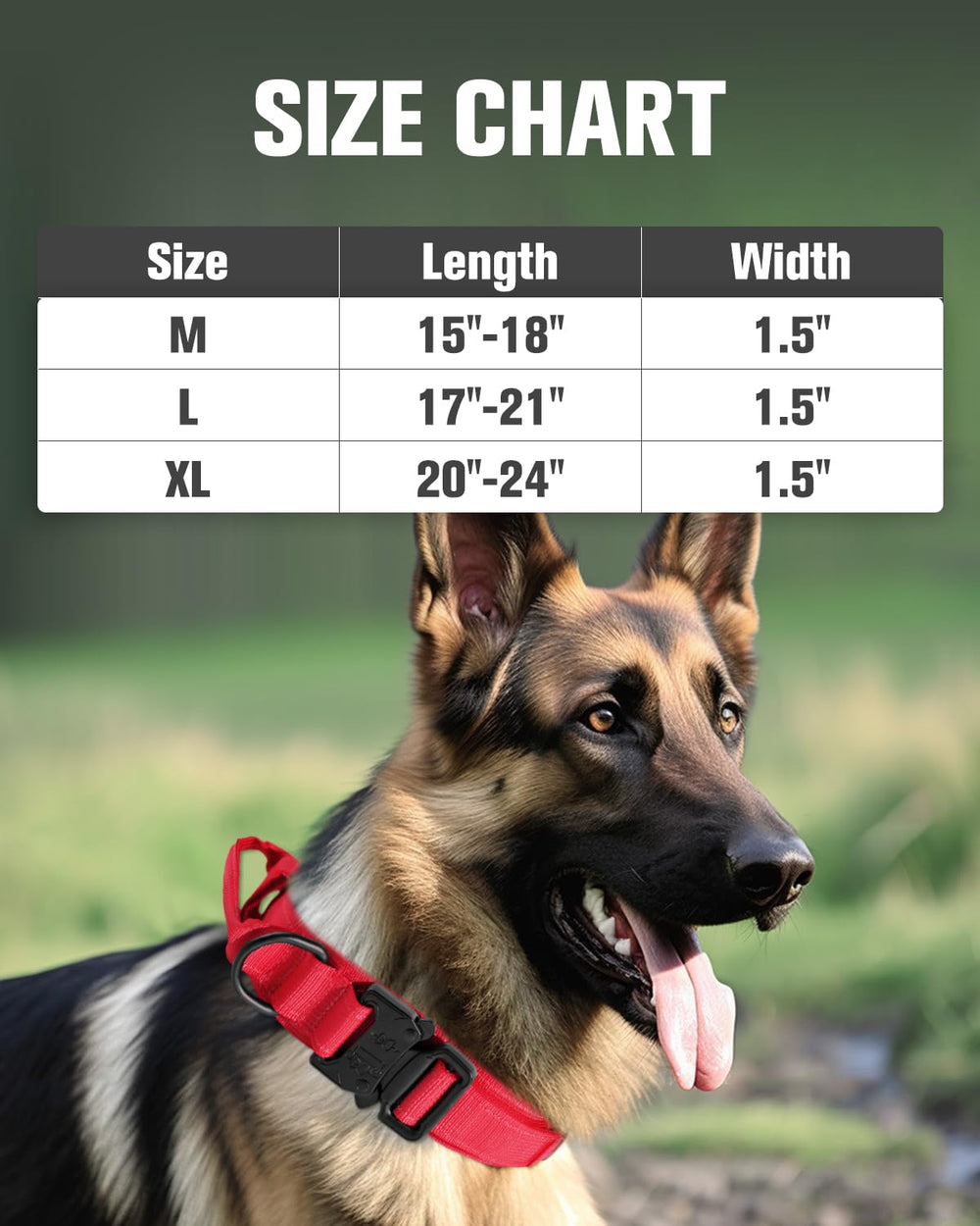 Joytale collar interior with soft cotton lining for comfort