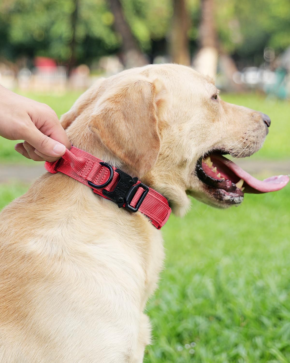 Joytale tactical collar training use suitable for hikes patrols and controlled sessions.