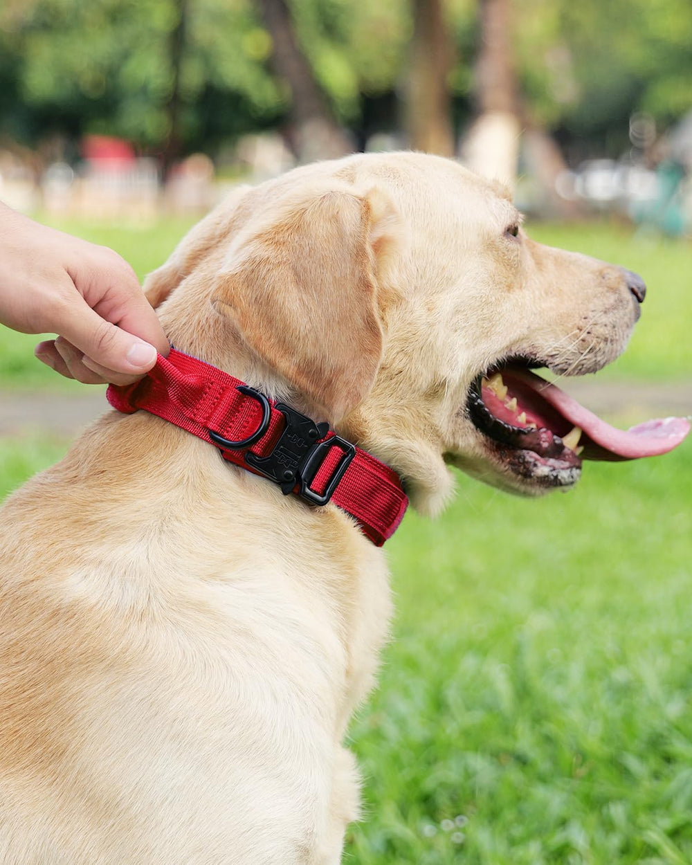 Joytale tactical collar used for training, hikes, and patrols