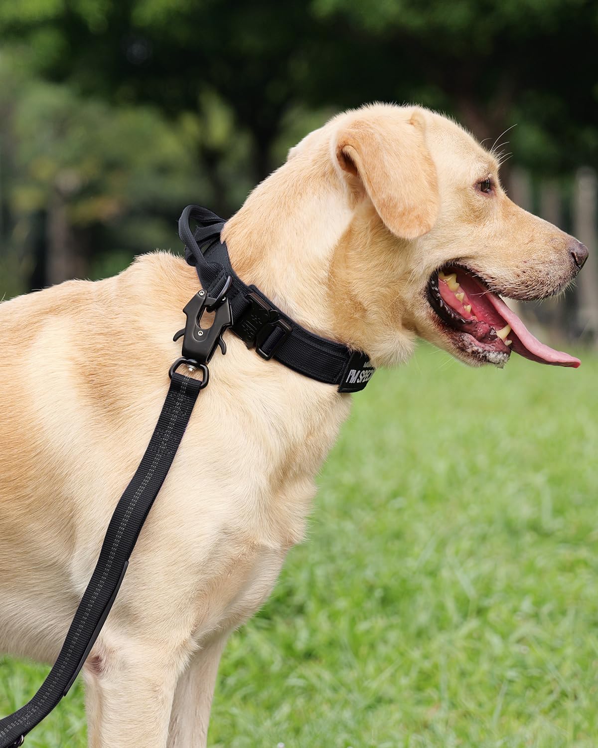 Joytale tactical dog collar with handle side view showing quick-release buckle for easy on-off.