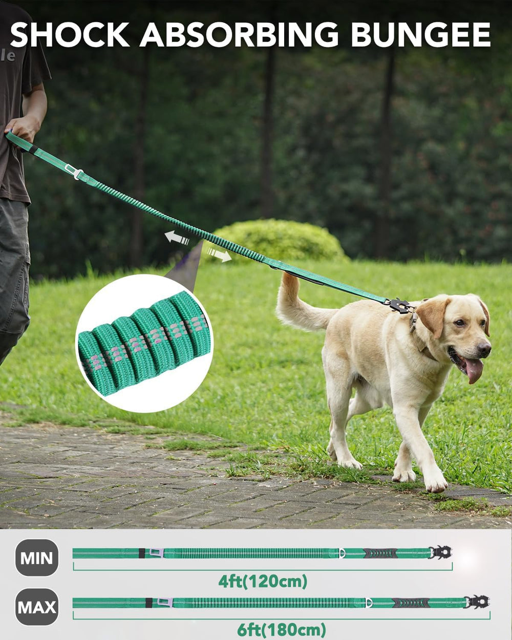 Joytale bungee leash absorbs pulls for smoother, wrist-friendly daily jogs.