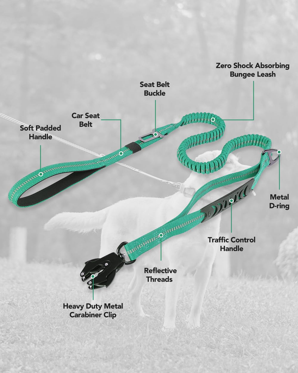 Joytale teal leash highlights style while supporting control in busy areas.