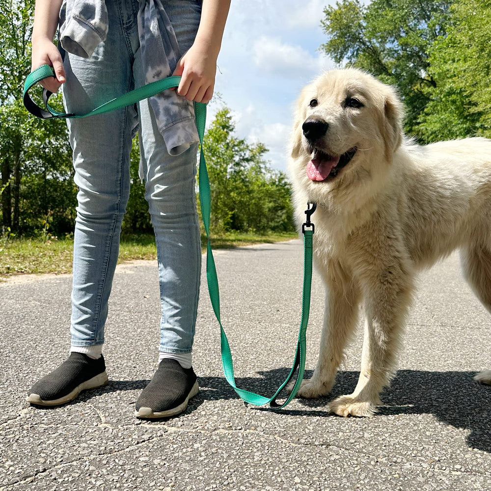 Joytale three lengths and twelve colors for personalized dog-walking setups.