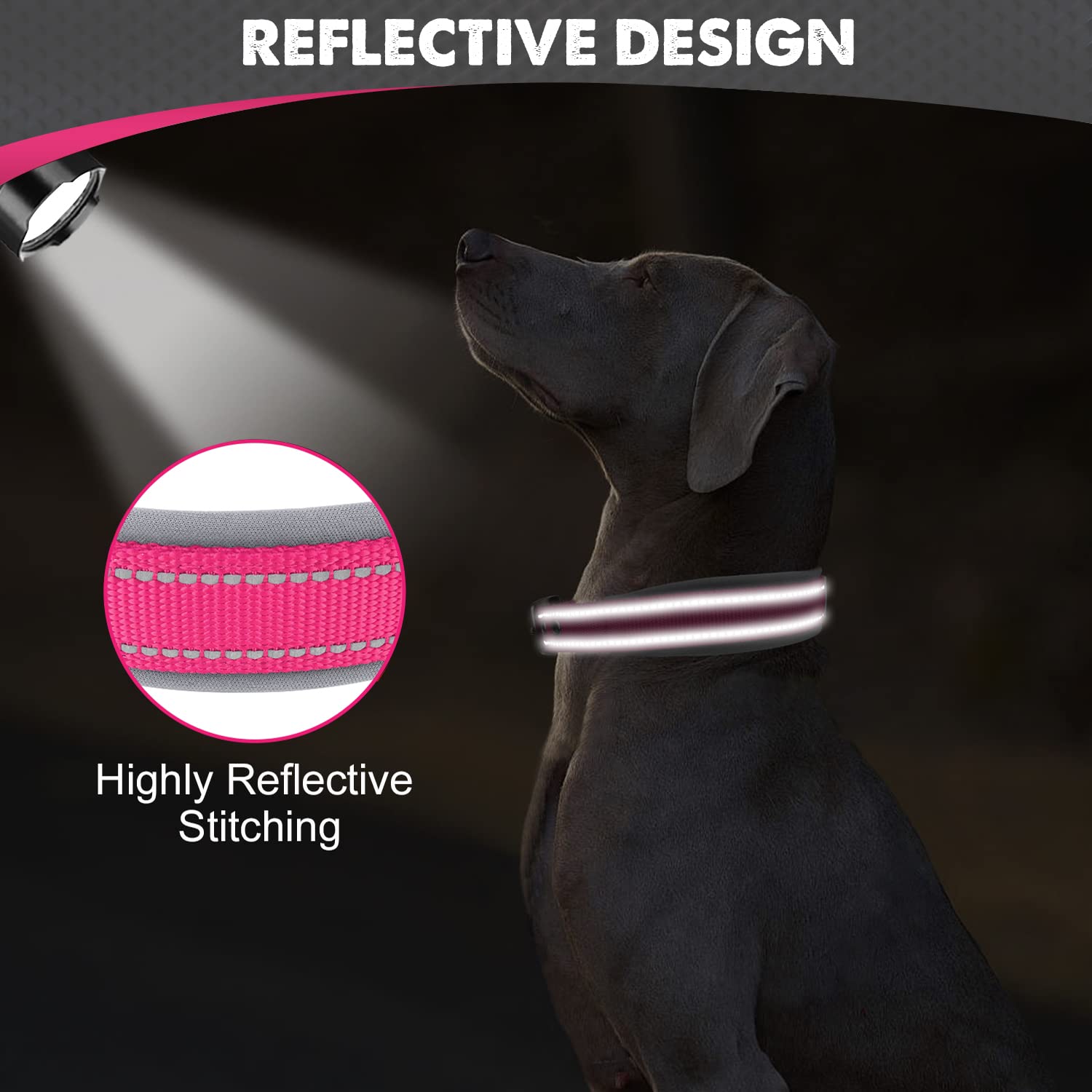 Joytale two-layer webbing collar delivers extra durability for strong pullers.