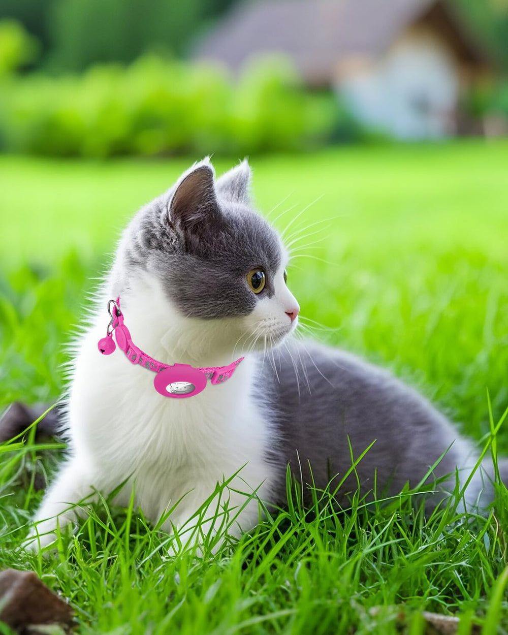 Joytale two-pack AirTag collars offer value and consistency.