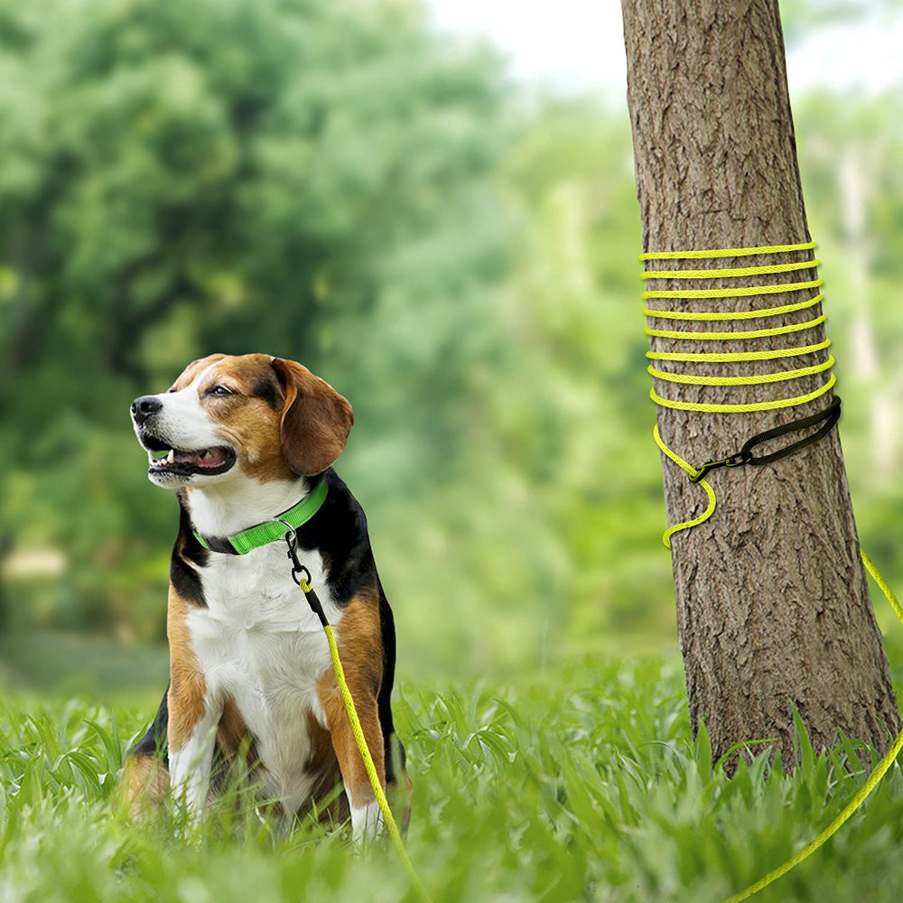 Joytale yellow recall-leash helps visibility and versatile outdoor training.