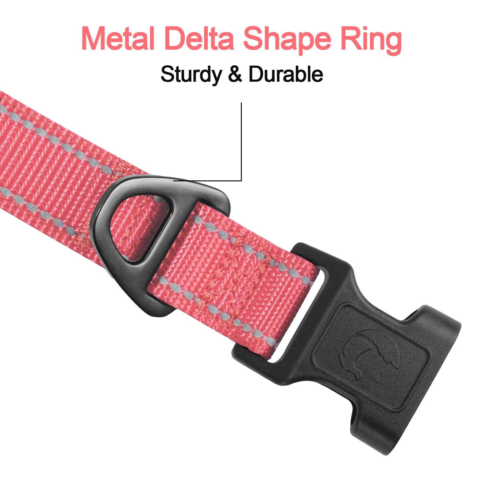 Joytale zinc-alloy D-ring dog collar rust-resistant leash attachment