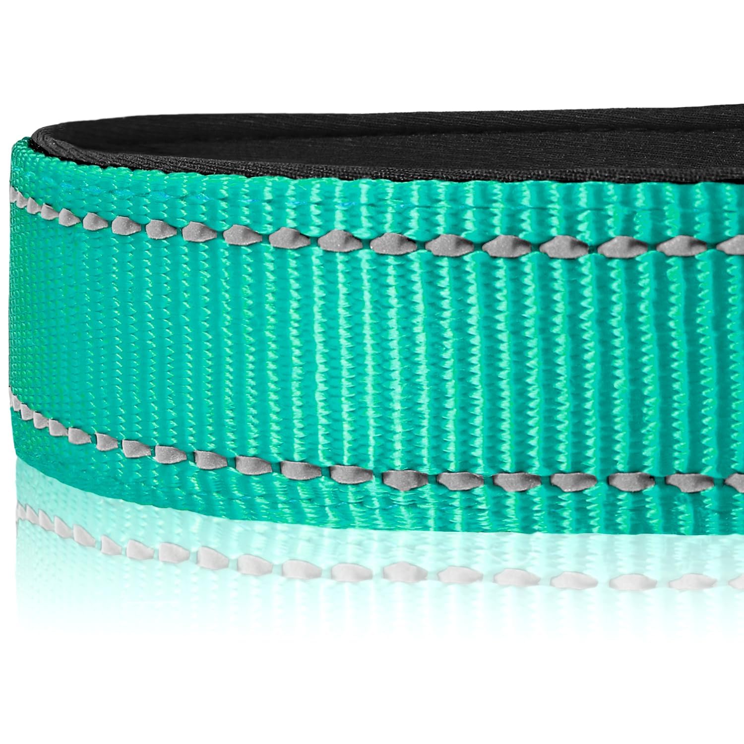 Joytale Zinc D-ring collar closeup demonstrates rust resistance.