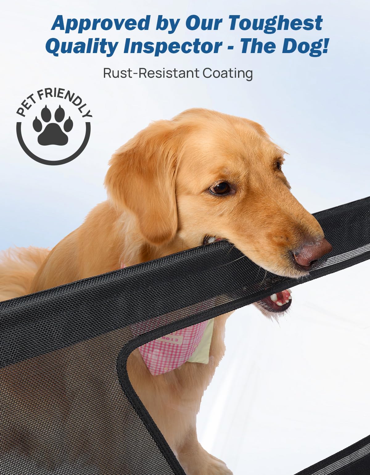 JOYTUTUS removable visual window highlights pet visibility and travel comfort.