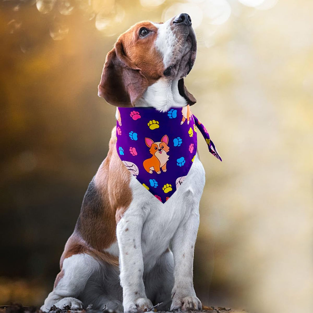 JpGdn large-dog bandana worn in casual outings to boost charm